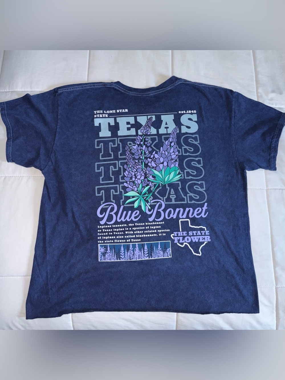 Texas Blue Bonnets Cropped Graphic Tee - Large